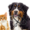 VETERINAIRE