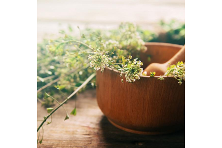 PHYTOTHERAPIE